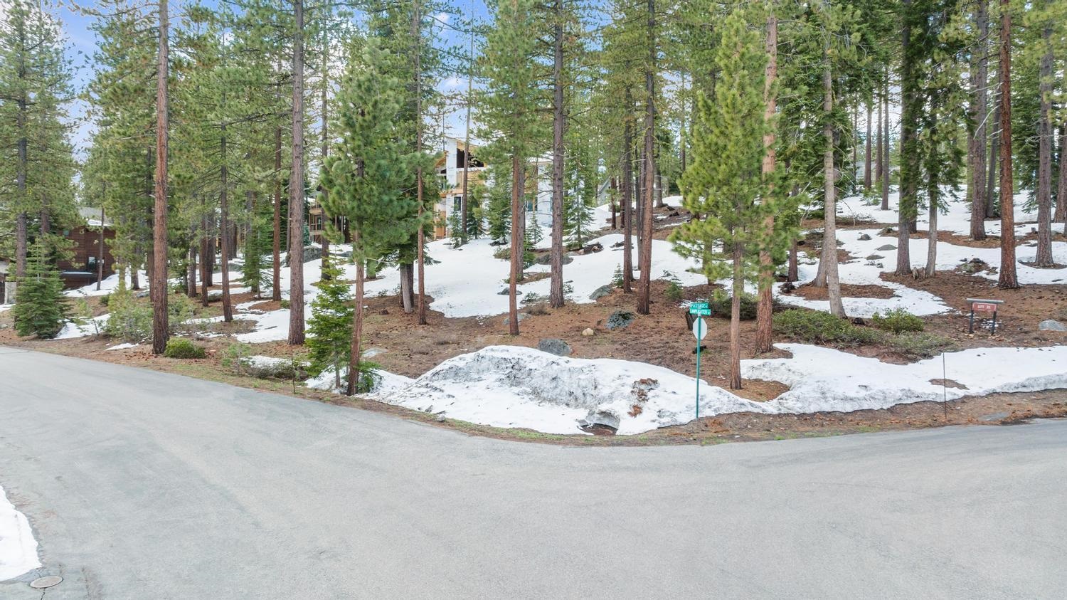 11916 Lamplighter Way Truckee, CA 96161 - Photo 6 of 20 a view of a park with trees and sitting area