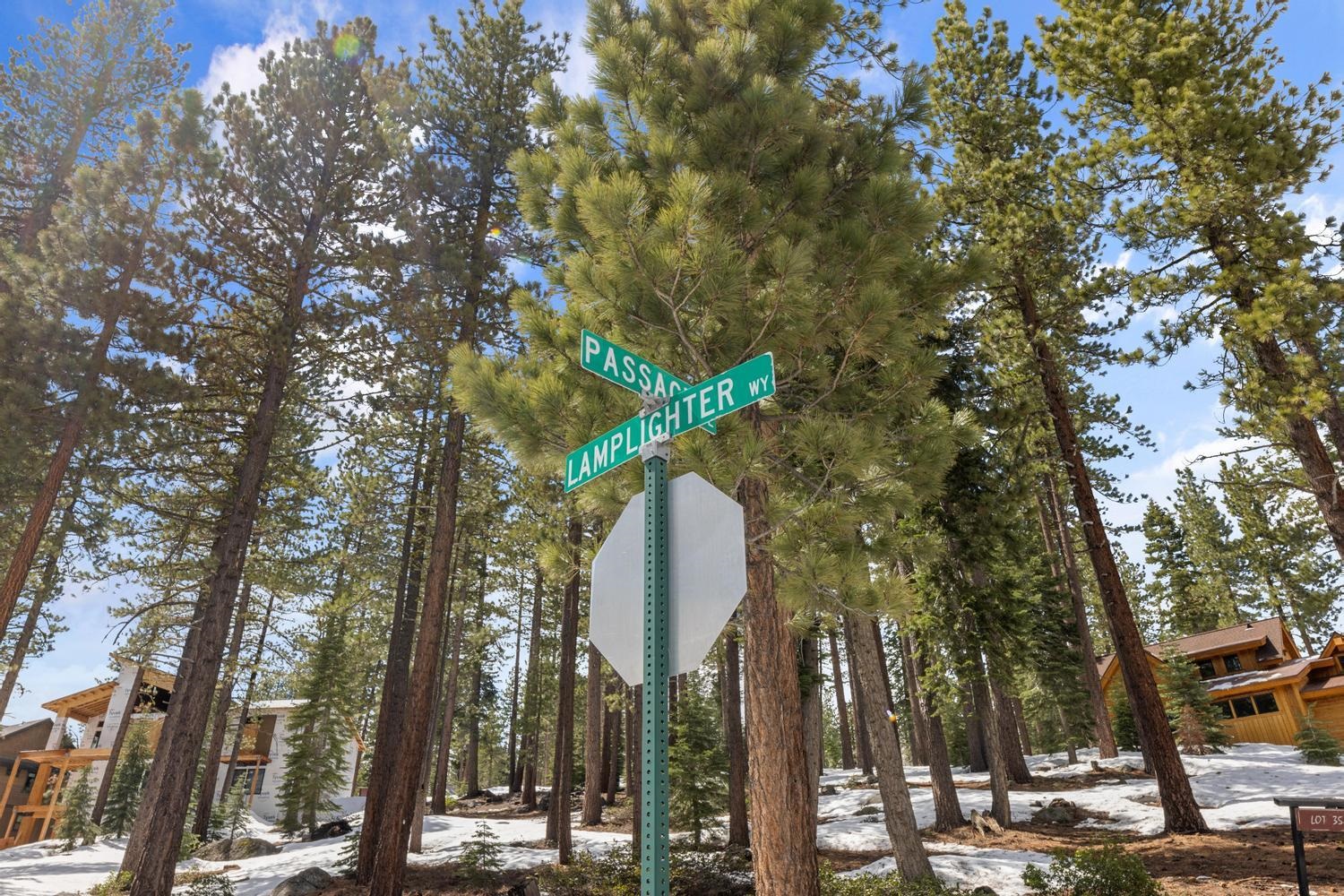 11916 Lamplighter Way Truckee, CA 96161 - Photo 7 of 20 a view of a park with large trees