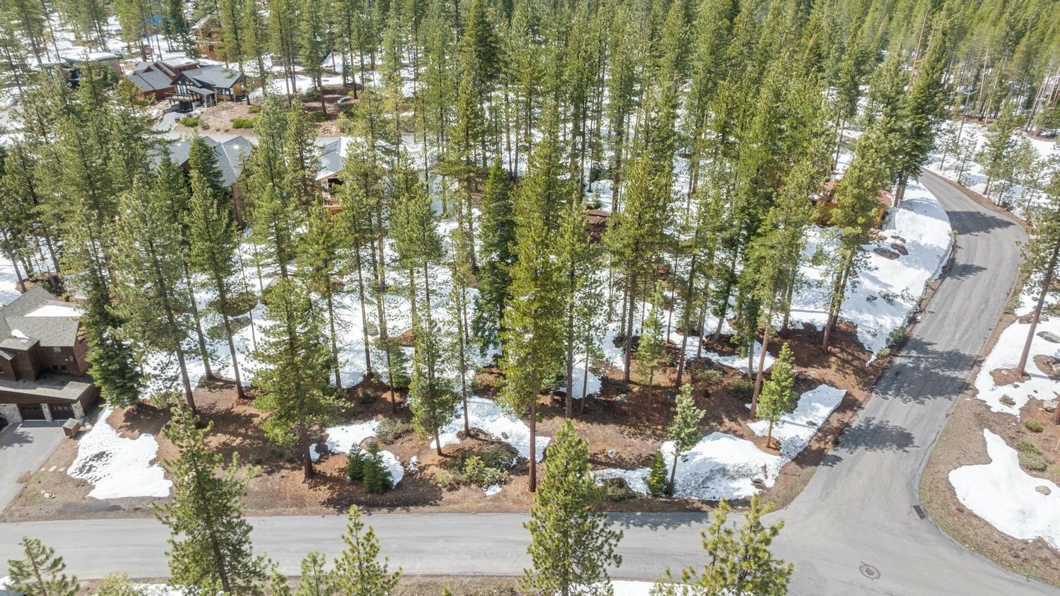 11916 Lamplighter Way Truckee, CA 96161 - Photo 8 of 20