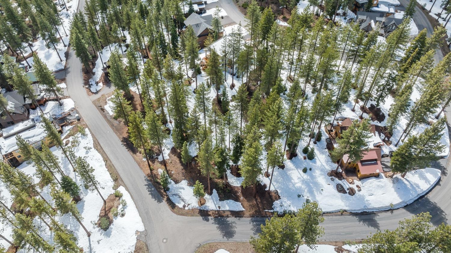 11916 Lamplighter Way Truckee, CA 96161 - Photo 9 of 20 view of outdoor space and yard