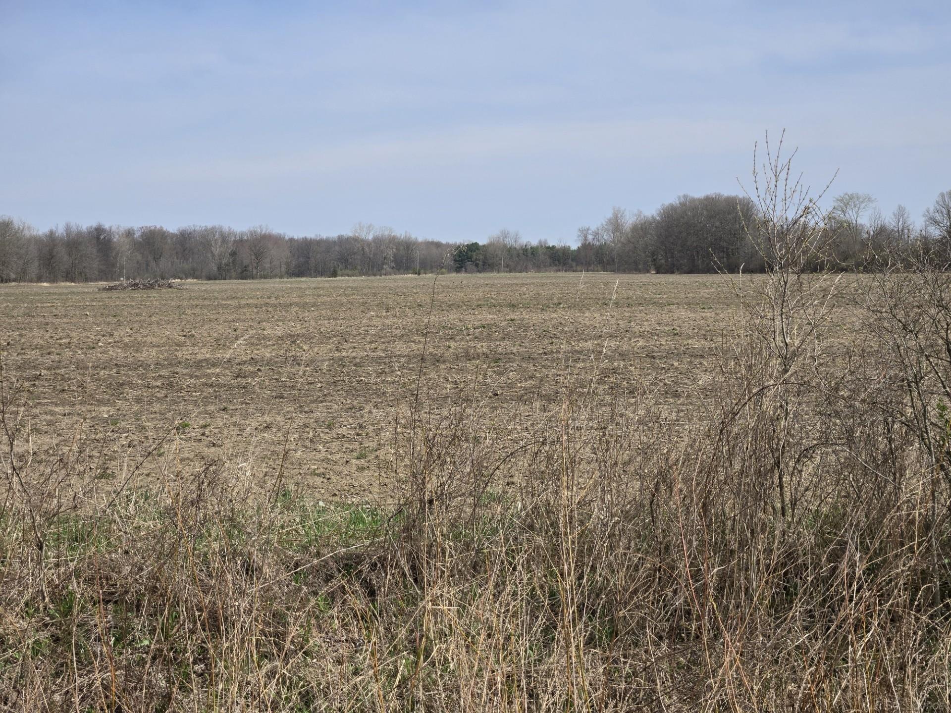 0 Weber (lot B) Road Columbus, MI 48063 - Photo 13 of 14