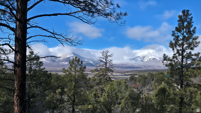 60 Wray Mesa Road, Unit 2 La Sal, UT 84530 - Photo 8 of 11
