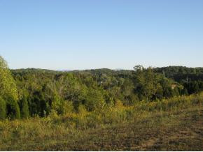 830 Ottway Road Greeneville, TN 37745 - Photo 9 of 9 Photo 9