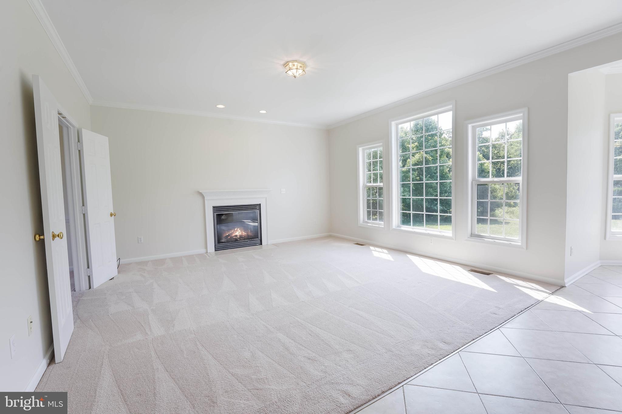 4380 Muster Field Road Culpeper, VA 22701 - Photo 11 of 35
