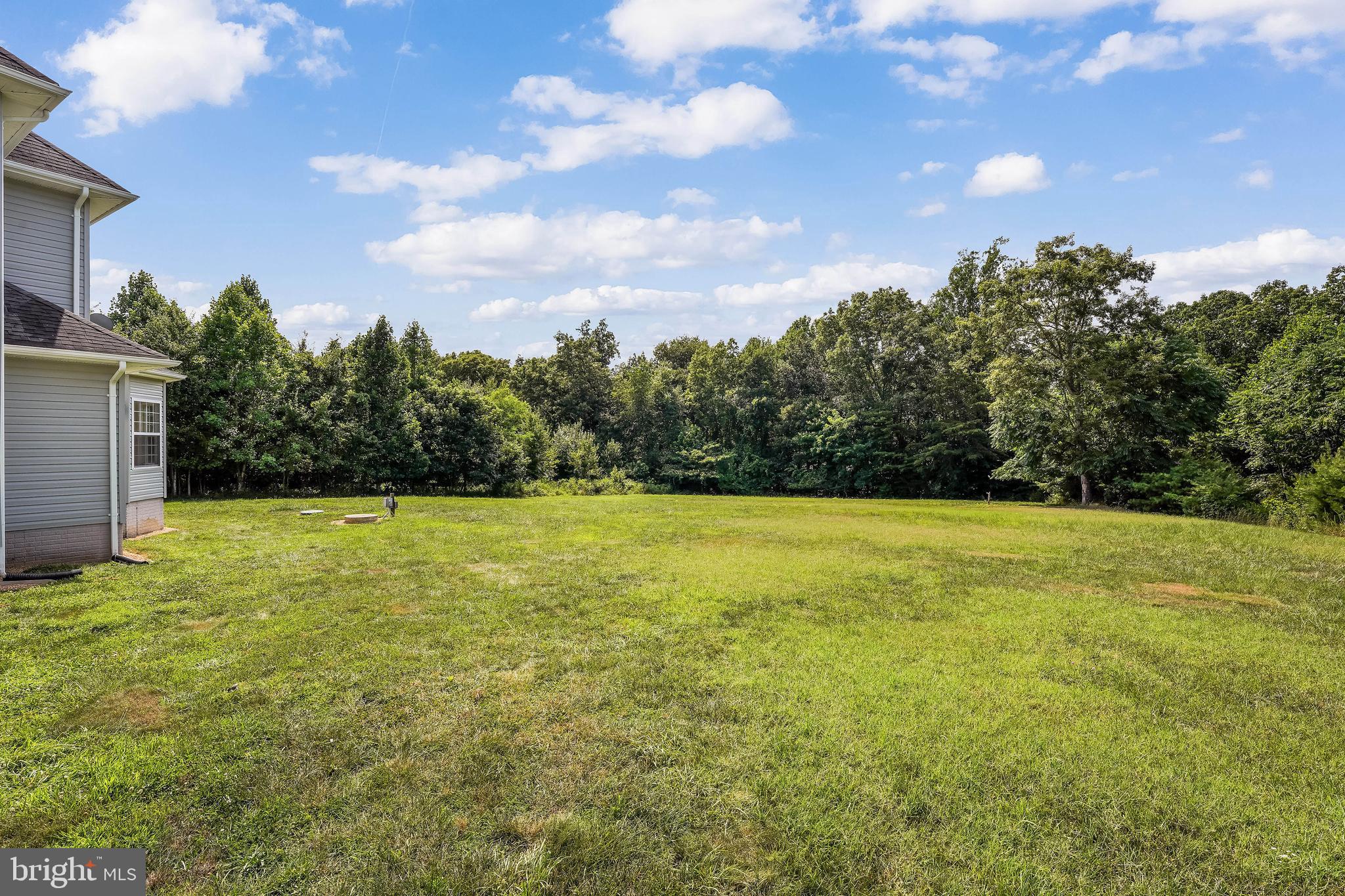 4380 Muster Field Road Culpeper, VA 22701 - Photo 34 of 35