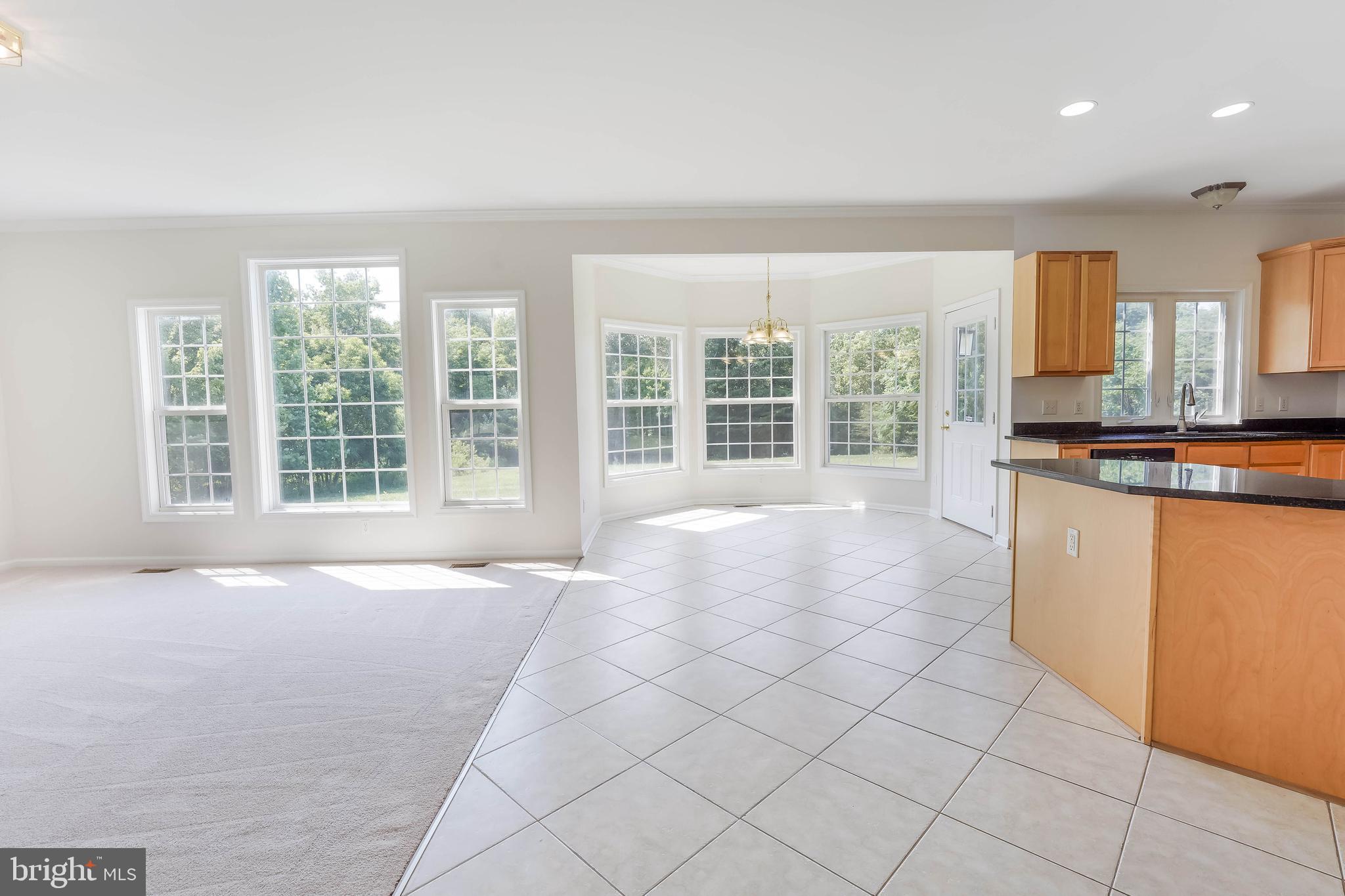 4380 Muster Field Road Culpeper, VA 22701 - Photo 7 of 35