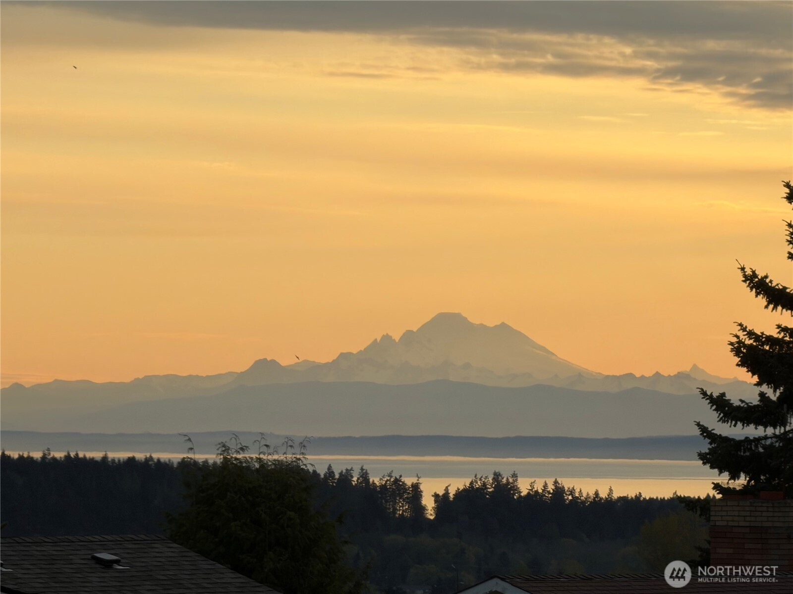 608 Reservoir Road Sequim, WA 98382 - Photo 3 of 40