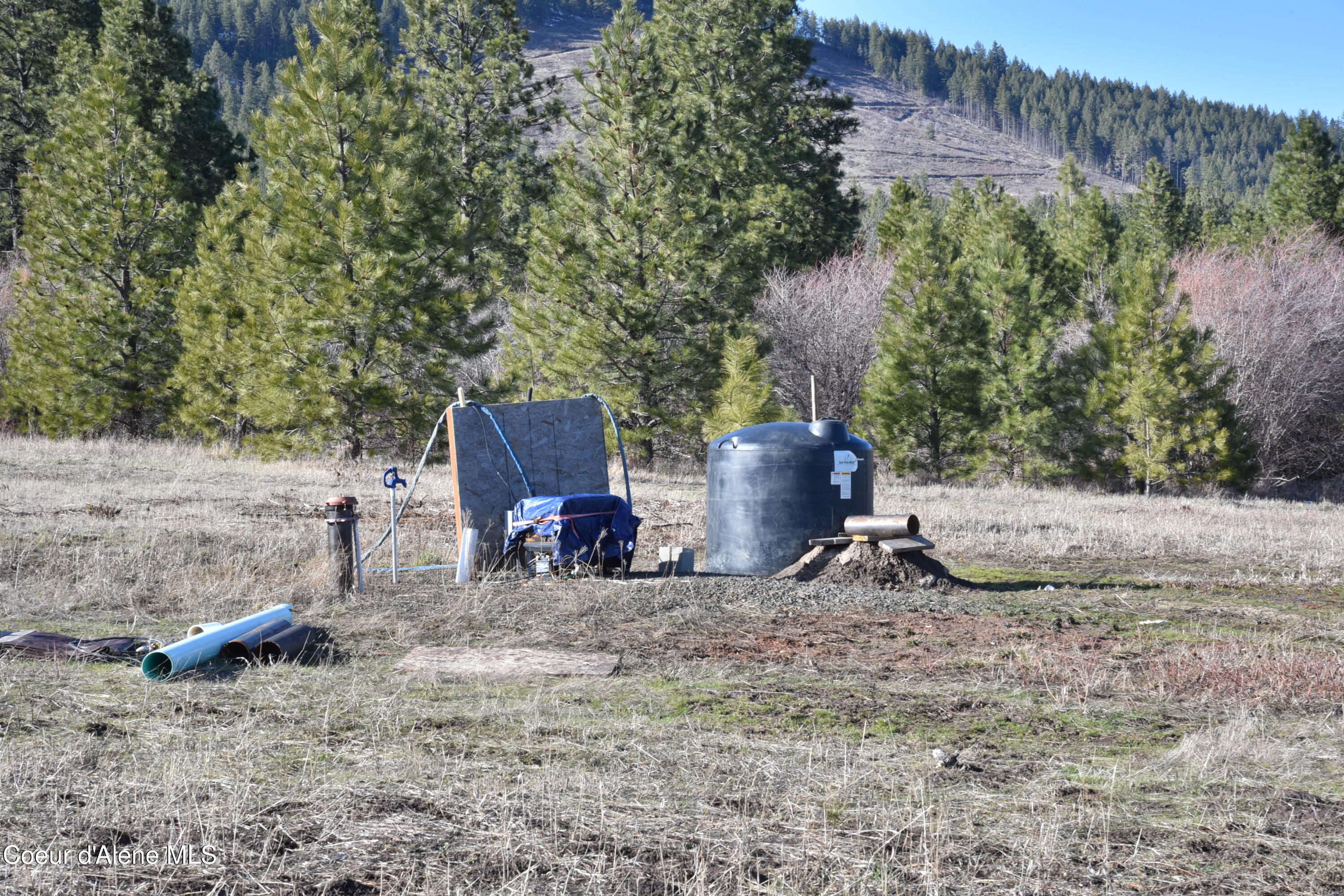 624 Vine Maple Road Desmet, ID 83824 - Photo 7 of 13 7