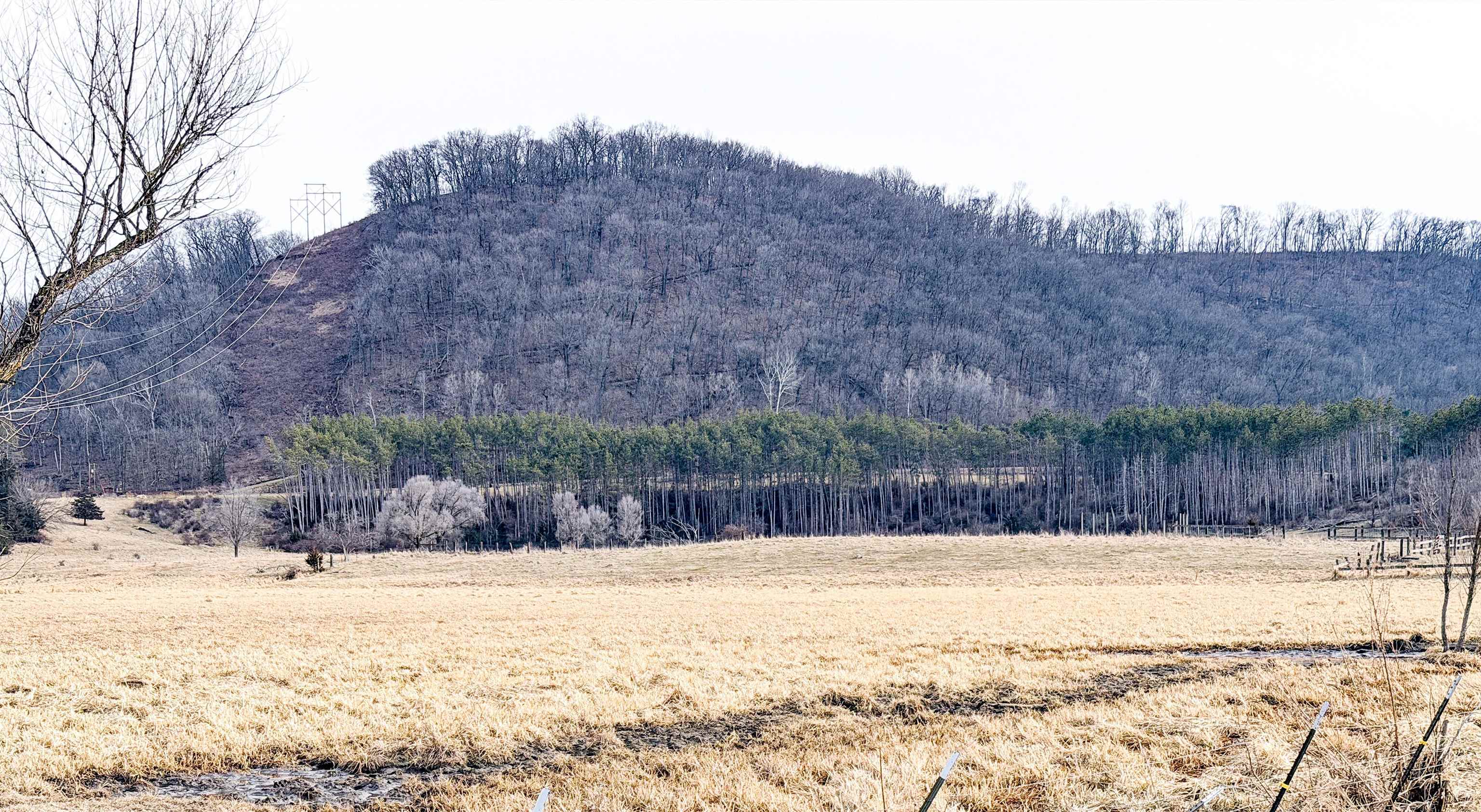 0 Willenberg Road De Soto, WI 54624 - Photo 20 of 23