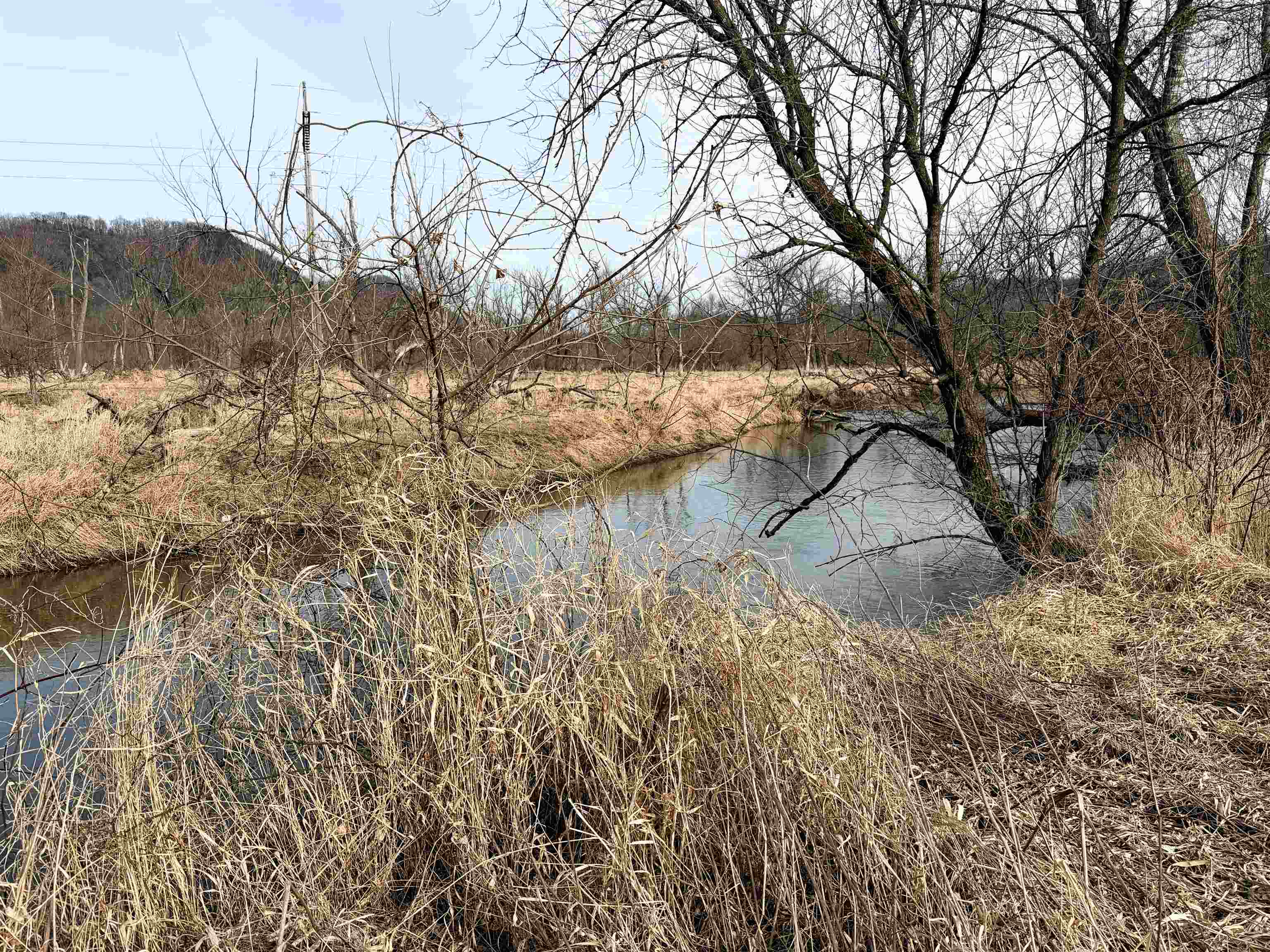 0 Willenberg Road De Soto, WI 54624 - Photo 4 of 23