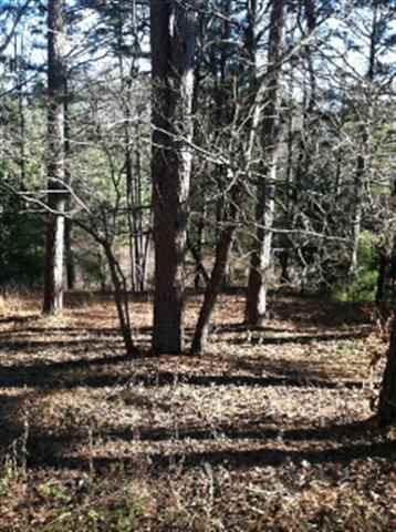 132 Hickory Cove Road Seneca, SC 29672 - Photo 4 of 14 Gallery Image 4