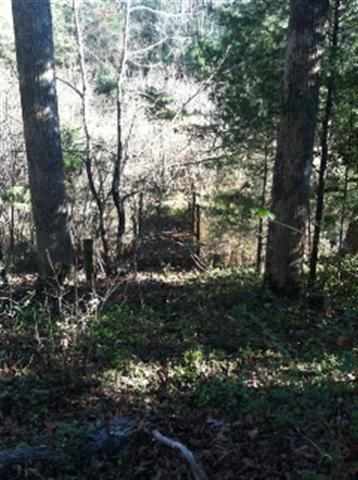 132 Hickory Cove Road Seneca, SC 29672 - Photo 7 of 14 Gallery Image 7