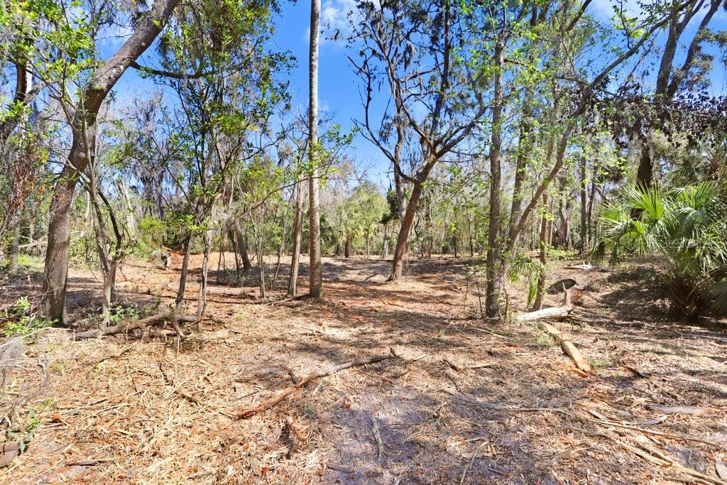 4868 Rambling River Road Brandon, FL 33511 - Photo 41 of 45 a view of yard with trees