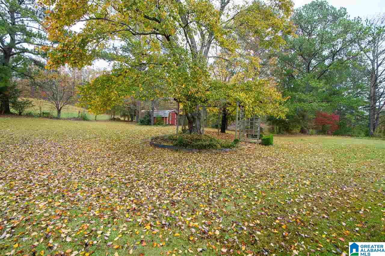 5125 Highway 11 Pelham, AL 35124 - Photo 10 of 50