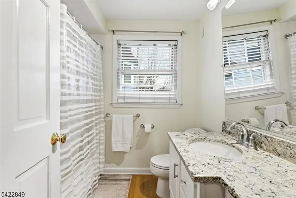 a bathroom with a sink vanity granite and toilet