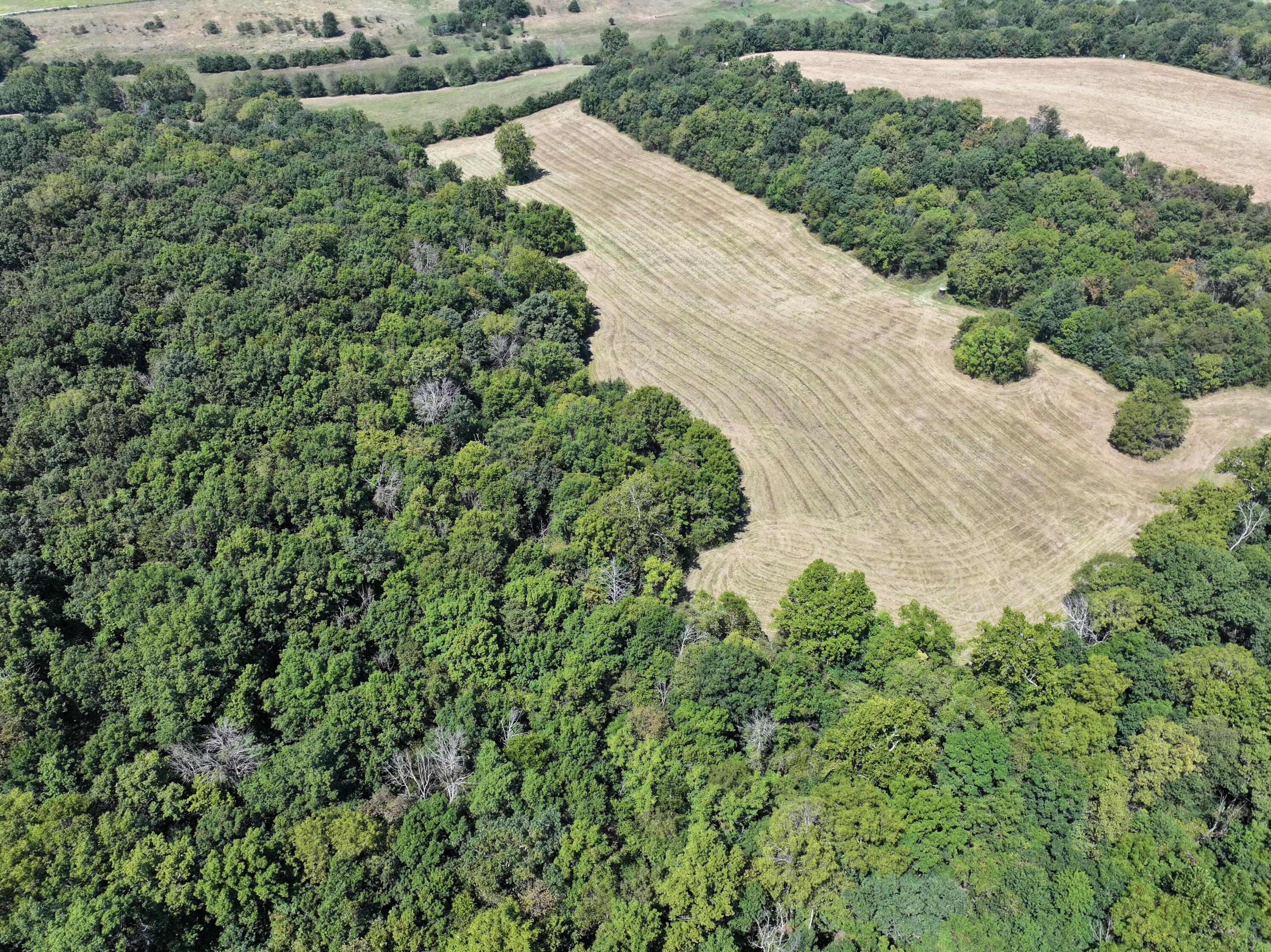 B South 140th Road Morrisville, MO 65710 - Photo 19 of 27 Morrisville 19