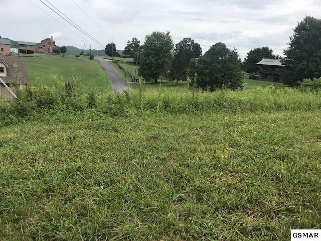 29 Sugar Tree Drive Sevierville, TN 37862 - Photo 7 of 12