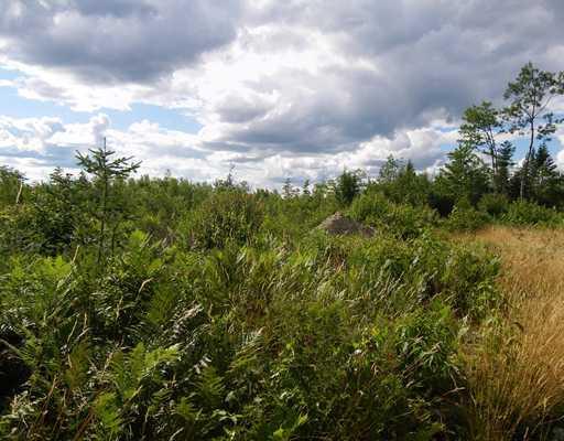 Land/Lot.