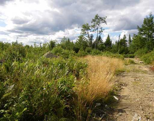 Lot 4 Call Road North Milford, ME 04461 - Photo 2 of 3 Land/Lot.