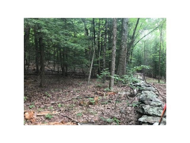 0 County Road, Unit 2 & 3 Walpole, NH 03608 - Photo 11 of 27
