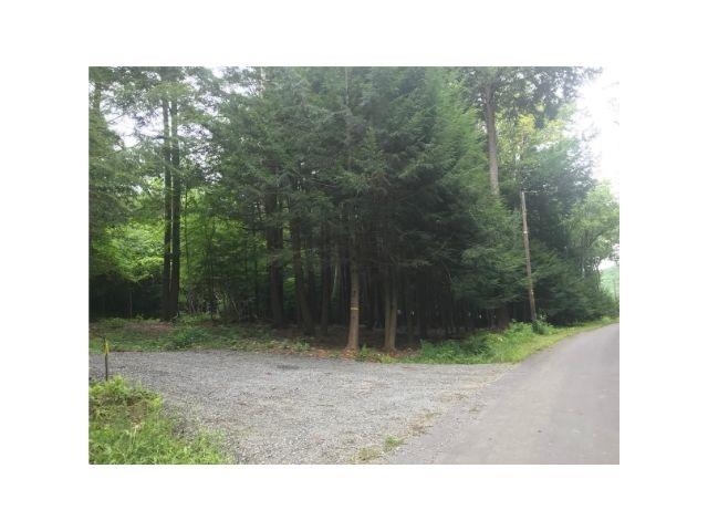 0 County Road, Unit 2 & 3 Walpole, NH 03608 - Photo 13 of 27