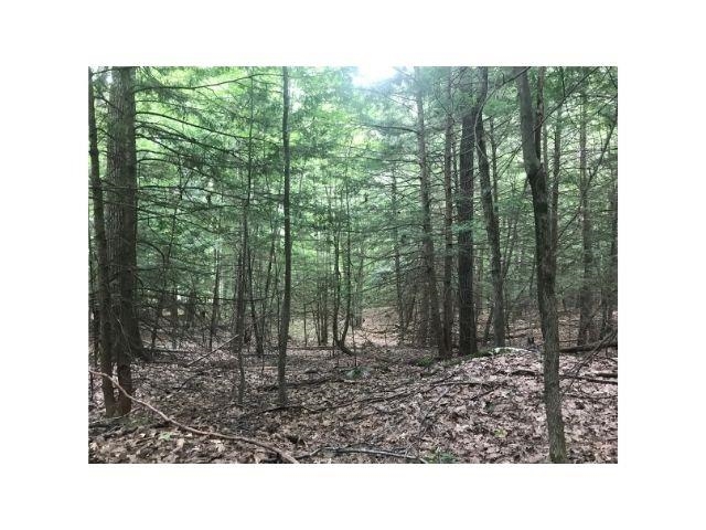 0 County Road, Unit 2 & 3 Walpole, NH 03608 - Photo 15 of 27