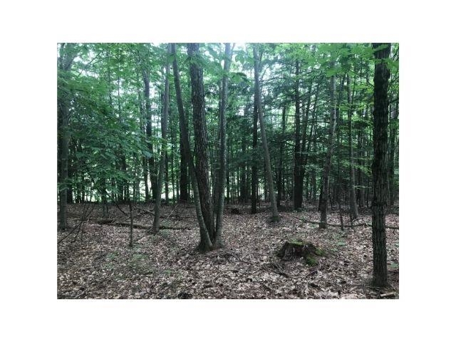 0 County Road, Unit 2 & 3 Walpole, NH 03608 - Photo 16 of 27