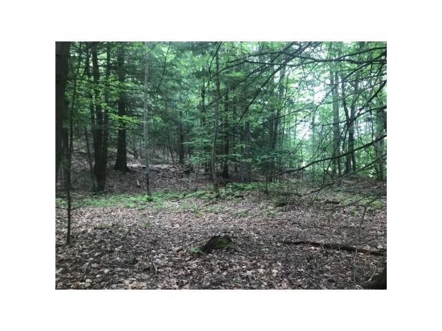 0 County Road, Unit 2 & 3 Walpole, NH 03608 - Photo 17 of 27