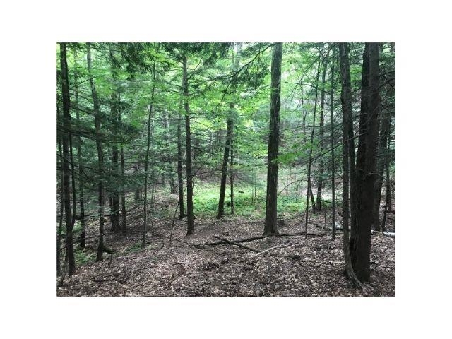 0 County Road, Unit 2 & 3 Walpole, NH 03608 - Photo 18 of 27