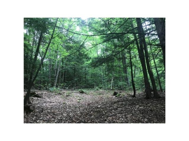 0 County Road, Unit 2 & 3 Walpole, NH 03608 - Photo 19 of 27
