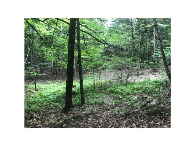 0 County Road, Unit 2 & 3 Walpole, NH 03608 - Photo 20 of 27