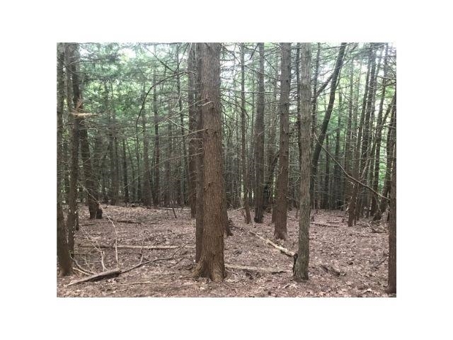 0 County Road, Unit 2 & 3 Walpole, NH 03608 - Photo 22 of 27