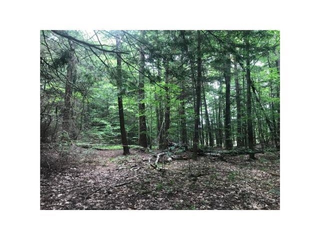 0 County Road, Unit 2 & 3 Walpole, NH 03608 - Photo 23 of 27