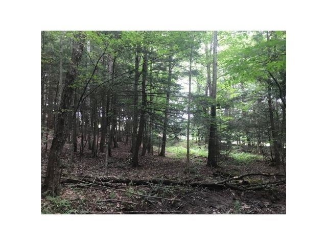 0 County Road, Unit 2 & 3 Walpole, NH 03608 - Photo 24 of 27
