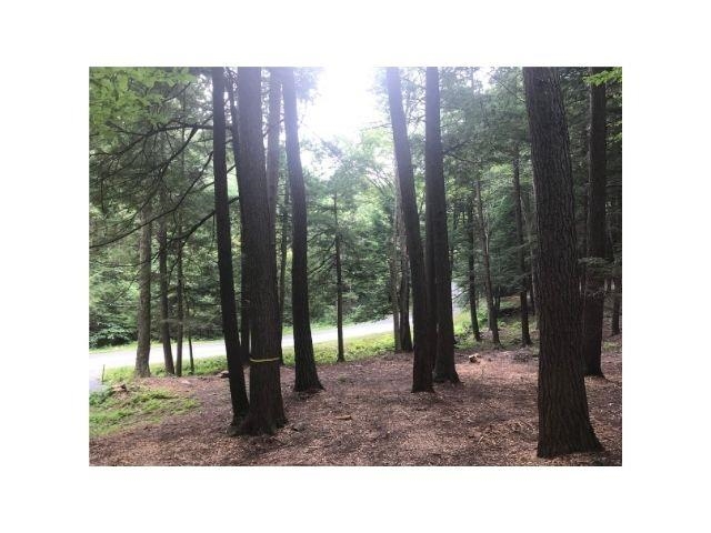 0 County Road, Unit 2 & 3 Walpole, NH 03608 - Photo 6 of 27