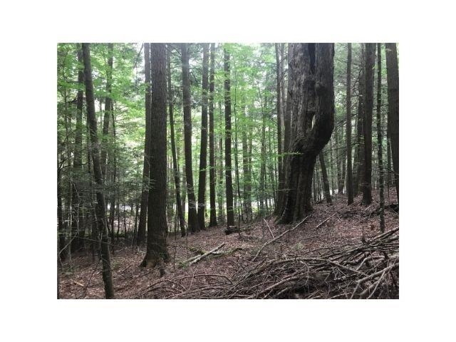 0 County Road, Unit 2 & 3 Walpole, NH 03608 - Photo 7 of 27