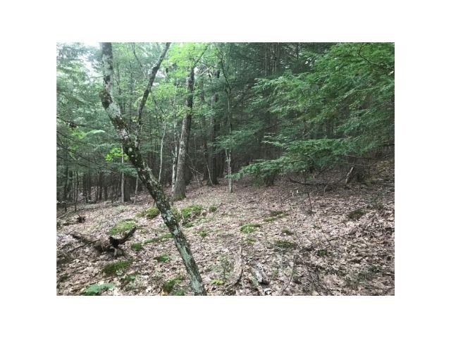 0 County Road, Unit 2 & 3 Walpole, NH 03608 - Photo 8 of 27