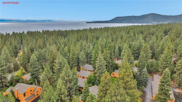 a kitchen with stainless steel appliances granite countertop a stove a sink dishwasher and a refrigerator
