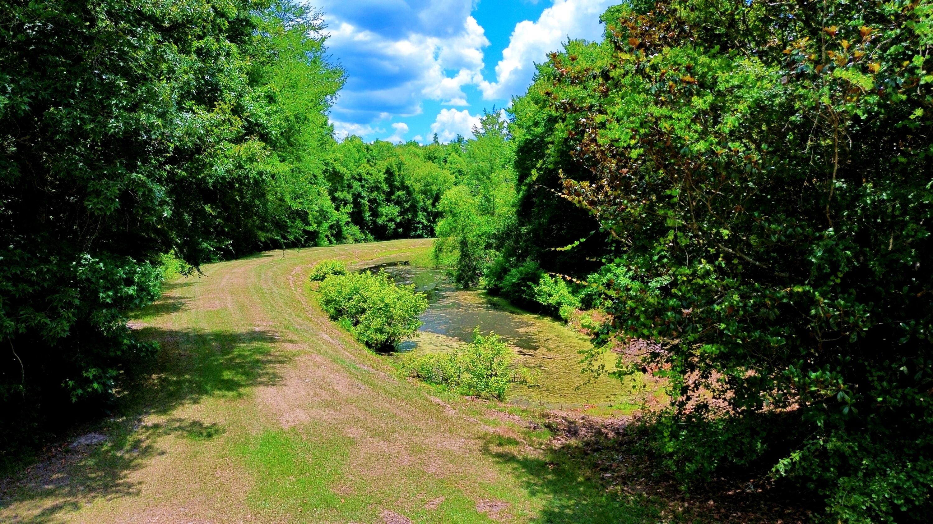1970 Cross Swamp Road Islandton, SC 29929 - Photo 103 of 150