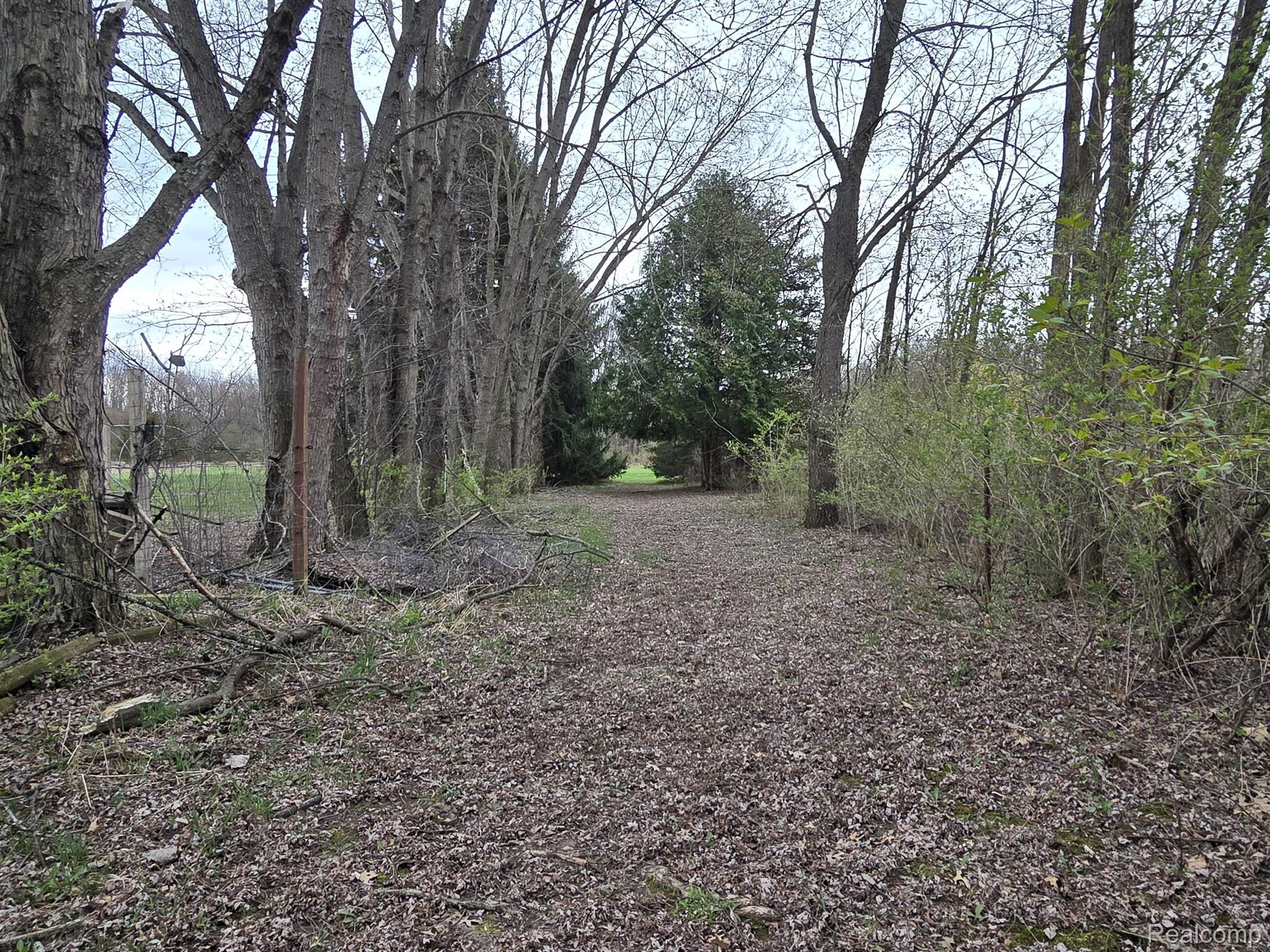 8177 West Mount Morris Road Flushing, MI 48433 - Photo 14 of 18