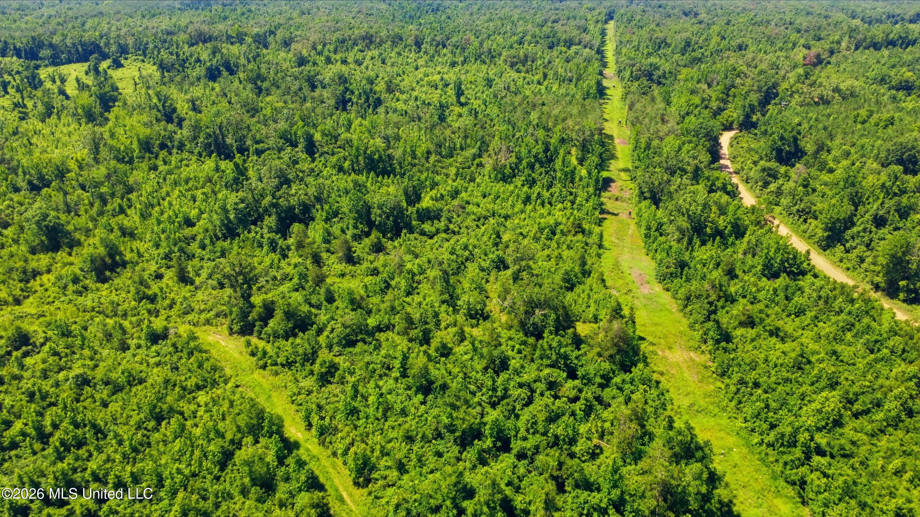 159 County Road Coila, MS 38923 - Photo 12 of 14 CR_159-160_Coila_Drone_027