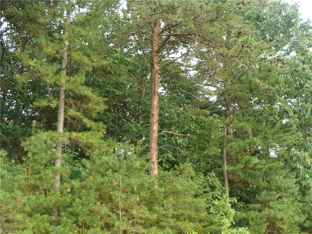 0 Hemric Road Boonville, NC 27011 - Photo 1 of 2 Gallery Image 1
