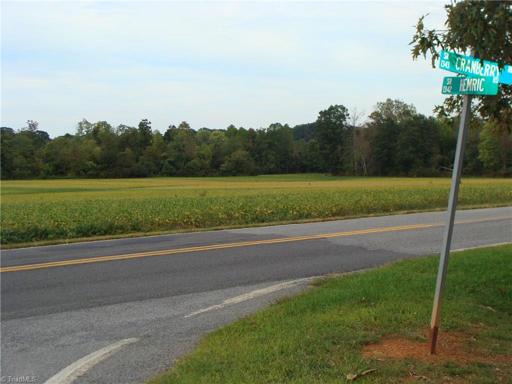 0 Hemric Road Boonville, NC 27011 - Photo 2 of 2 Gallery Image 2