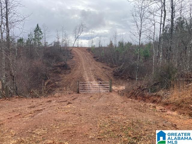 6001 Bluff Valley Road, Unit 30 AC Ashland, AL 36251 - Photo 7 of 8