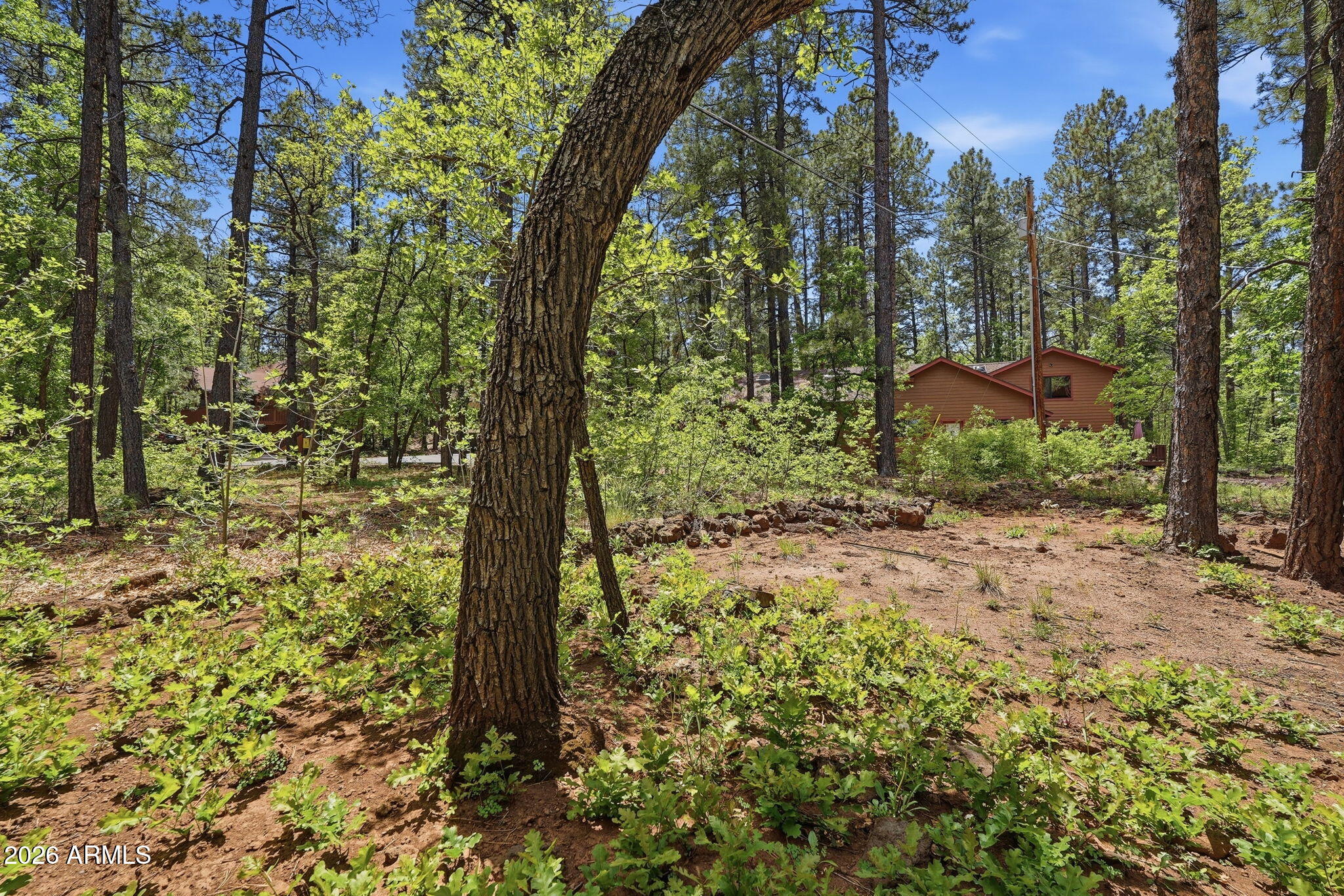 3829 Turkey Track Road Pinetop, AZ 85935 - Photo 34 of 34 034_ListerPros