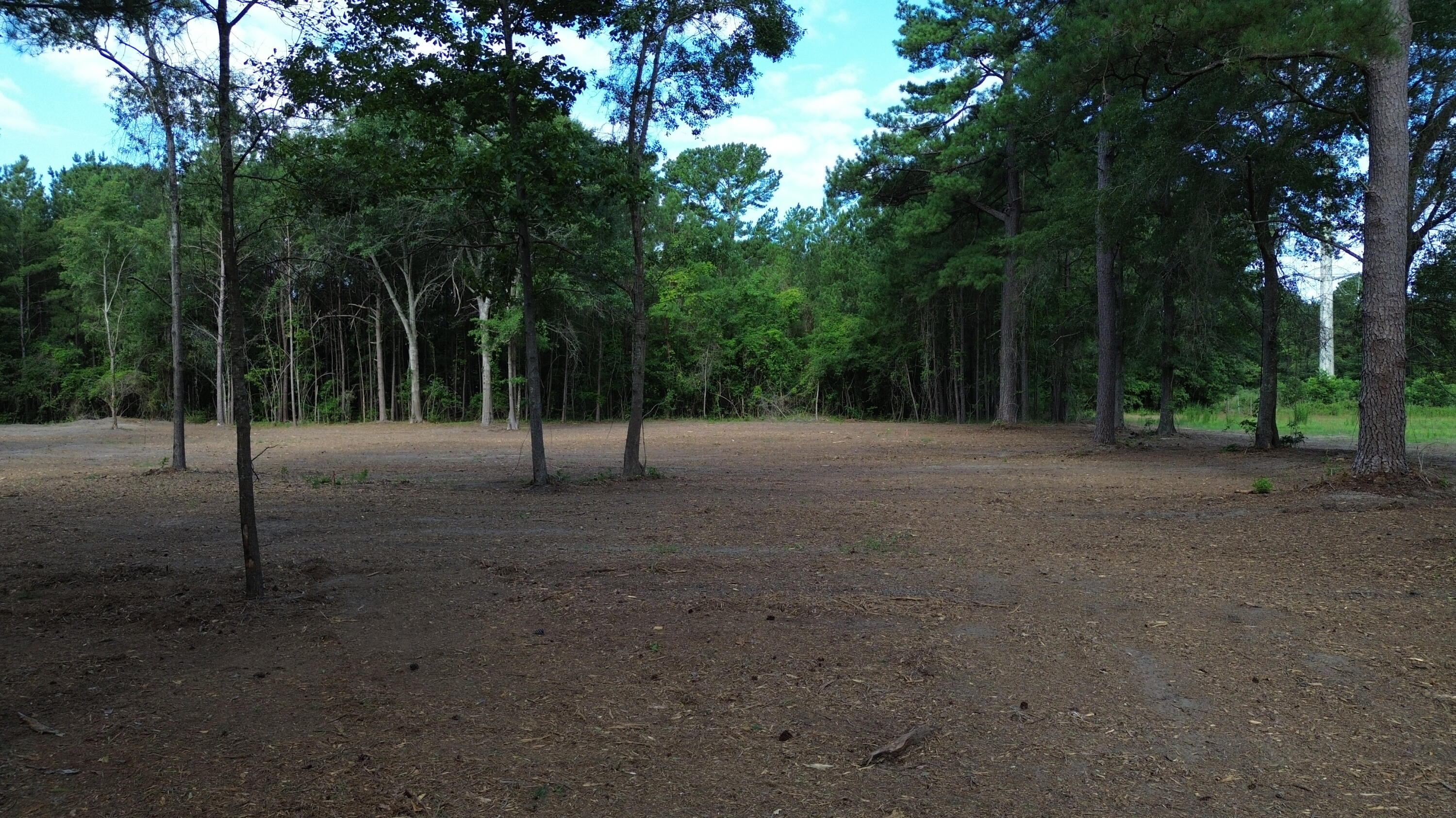3 Trojan Road Cross, SC 29436 - Photo 10 of 21