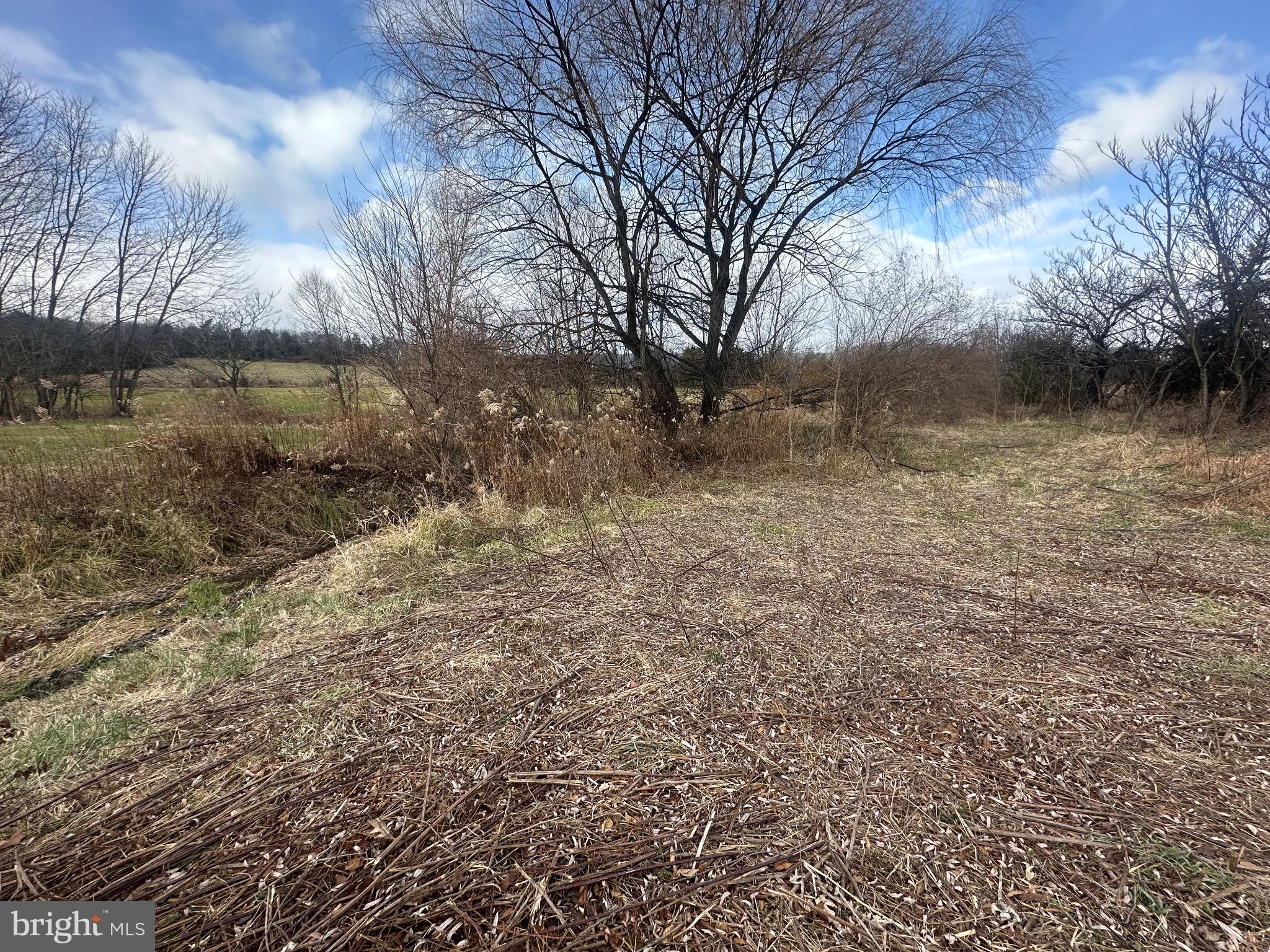 11147 Blairs Valley Road Mercersburg, PA 17236 - Photo 5 of 13