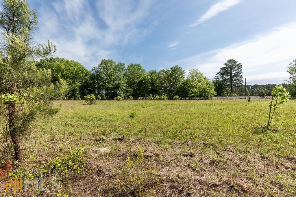 0 Springfield Egypt Road Springfield, GA 31329 - Photo 5 of 7 a view of a field with an trees in the background