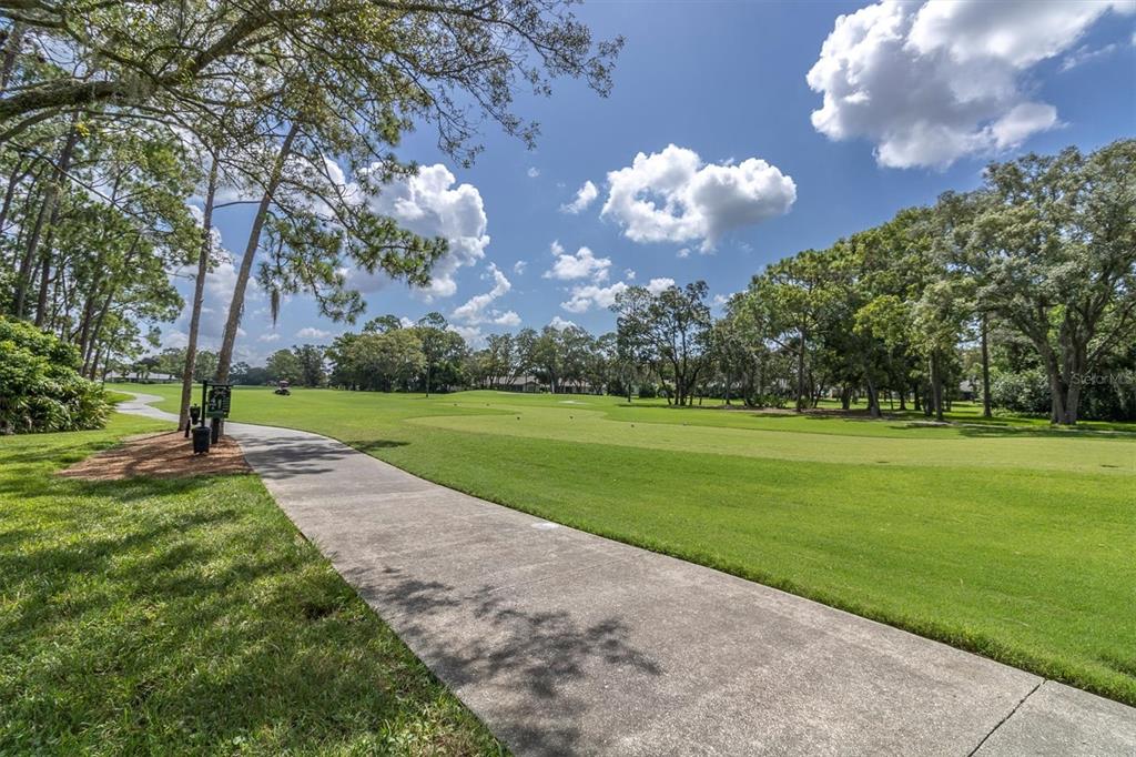 7099 Pond View Court Spring Hill, FL 34606 - Photo 44 of 64