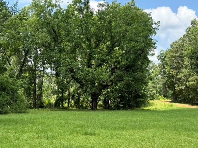 0 Marsalis Road Arcadia, LA 71001 - Photo 10 of 16
